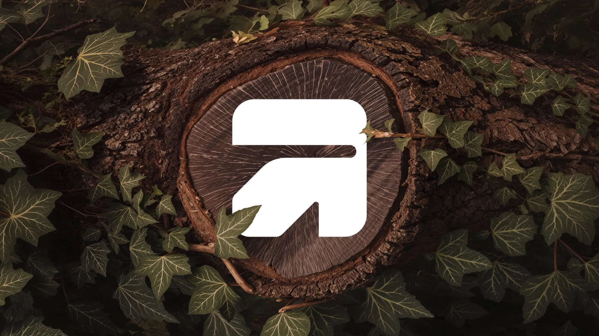 Aakar mark set into a tree trunk surrounded by ivy
